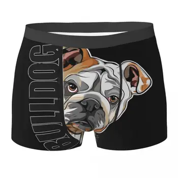 Boxer alsónadrág Angol bulldog kutya bugyi férfi puha fehérnemű rövidnadrág Homme Man Boyfriend ajándékok