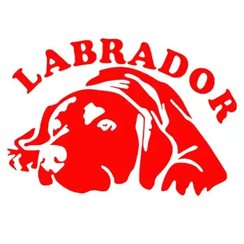 Labrador kutya autó karosszéria ablak fényvisszaverő matricák matrica vízálló, nagy tapadású lökhárító matrica Autós formázó vinil matricák