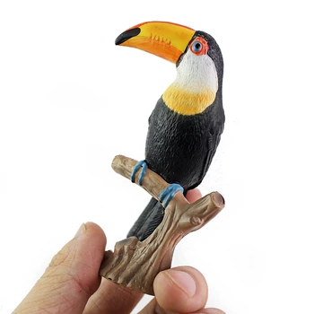 Szimuláció vadállat Toucan modell játék PVC műanyag játék gyermek születésnapi ajándék