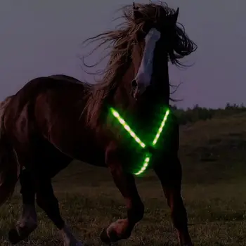 LED LED lóhám Lovas kellékek Tölthető villogó ló nyakörv Mellvért dekoráció Biztonságos lófelszerelés